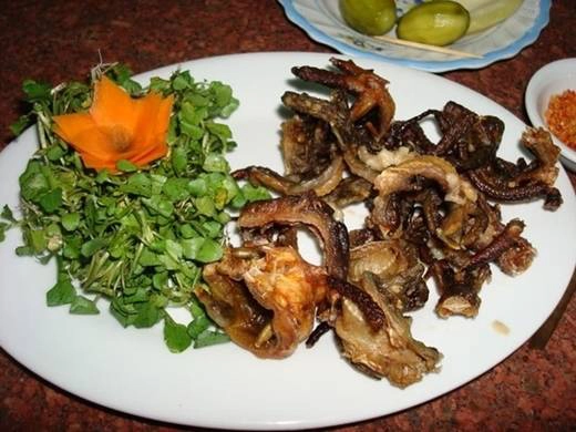 Thằn lằn núi là đặc sản của vùng núi Bà Đen (Tây Ninh). Có hai cách để chế biến món ăn này là nướng (nguyên con) và bằm nhuyễn xúc bánh tráng. Hình thức đầu, món ăn khá đáng sợ. Ảnh: Vietpicture.