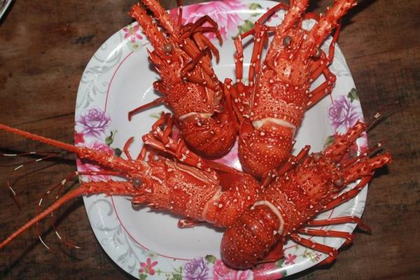 Bạn nên thưởng thức con nhỏ sẽ đở ngán hơn. Ảnh: Phước Bình. Bạn nên thưởng thức con nhỏ sẽ đở ngán hơn. Ảnh: Phước Bình.