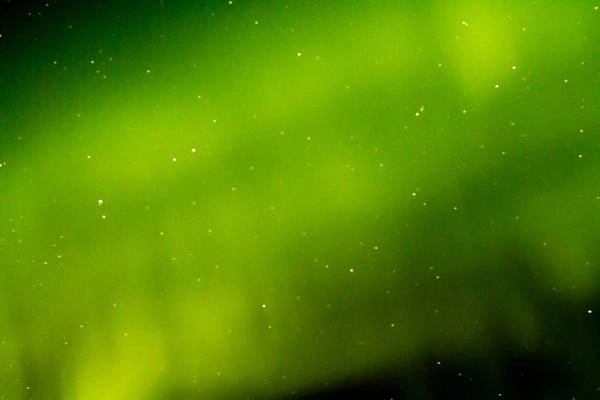 Aurora dạng mảng sáng rộng, khuếch tán rực rỡ dưới bầu trời đầy sao của làng Burfjord, hạt Troms. Khu vực này của Na Uy nằm bên trên vòng cực và trong vùng Aurora, là điểm đến yêu thích của người dân các nước châu Âu để ngắm những dải cực quang lấp lánh. Ngoài ra, khung cảnh vừa hùng vĩ vừa thơ mộng một bên là núi, một bên là biển cùng những món hải sản địa phương hấp dẫn cũng khiến cung đường này hút khách.