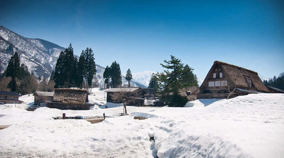 Gokayama (Toyama): Không chỉ có làng cổ Shirakawago (Gifu), thị trấn cổ Gokayama cũng hấp dẫn du khách bởi những ngôi nhà hàng trăm tuổi. Giống với làng Shirakawago, thị trấn Gokayama sở hữu nhiều nhà cổ mang lối kiến trúc gassho. Một khu vực có những nhà niên đại chừng 400 tuổi được UNESCO công nhận là di sản thế giới. Những ngôi nhà mái rơm ở Gokayama là hình ảnh quen thuộc của làng quê Nhật Bản xưa cũ. Mái nhà dốc đứng, hình tâm giác được thiết kế để chống lại những trận tuyết rơi dày. Ảnh: Yiin Rei Huan.