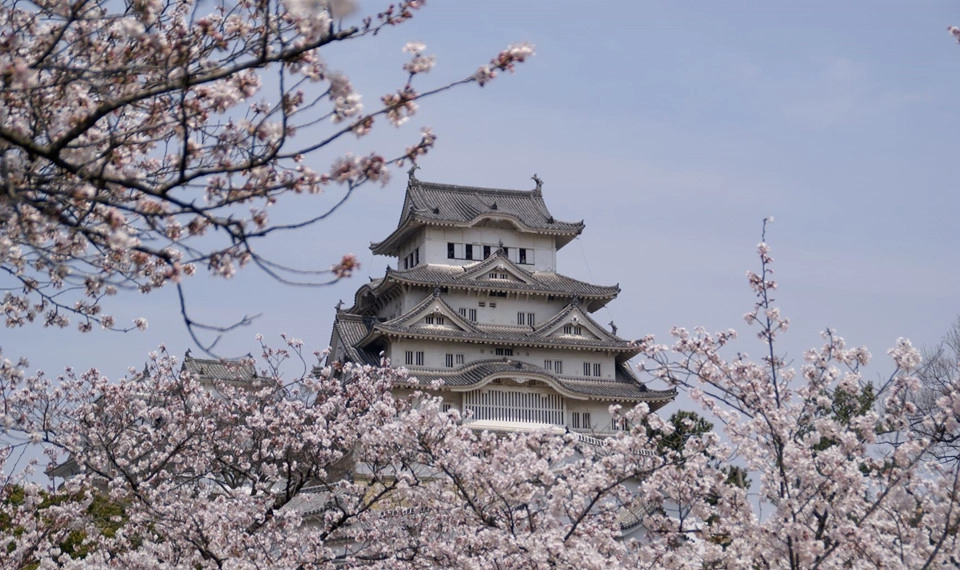 Lâu đài Himeji (Hyogo): Tòa lâu đài trắng tọa tại Hyogo là một trong những địa điểm hút khách du lịch bởi kiến trúc độc đáo. Toàn cảnh lâu đài được thiết kế với cảm hứng hình ảnh con chim bay trên bầu trời. Himeji là sự kết hợp của 83 tòa nhà nhỏ. Lâu đài thế kỷ 17 được trang bị hệ thống phòng thủ chắc chắn. Lâu đài từng xuất hiện trong rất nhiều bộ phim nổi tiếng Nhật Bản và thế giới như siêu phẩm James Bond: You only live twice. Ảnh: Kenichi Masuo.