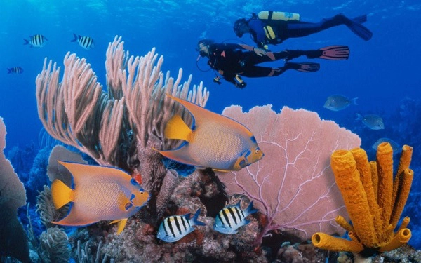Belize Barrier Reef, Belize: Belize Barrier Reef có một trong những rạn san hô dài nhất ở Tây bán cầu, hố ngầm khổng lồ Great Blue Hole, là điểm thu hút khách du lịch hàng đầu của Belize và được Unesco công nhận là di sản thế giới. Belize Barrier Reef gồm các đảo san hô, bãi cát, rừng ngập mặn, đầm phá ven biển, là nơi sinh sống của rùa, lợn biển và cá sấu. Tuy nhiên, toàn bộ khu vực đang bị đe dọạ bởi ô nhiễm biển, cũng như việc không kiểm soát được các hoạt động du lịch, vận tải hay đánh cá. Ảnh: Jeff Hunter/Getty. Belize Barrier Reef, Belize: Belize Barrier Reef có một trong những rạn san hô dài nhất ở Tây bán cầu, hố ngầm khổng lồ Great Blue Hole, là điểm thu hút khách du lịch hàng đầu của Belize và được Unesco công nhận là di sản thế giới. Belize Barrier Reef gồm các đảo san hô, bãi cát, rừng ngập mặn, đầm phá ven biển, là nơi sinh sống của rùa, lợn biển và cá sấu. Tuy nhiên, toàn bộ khu vực đang bị đe dọạ bởi ô nhiễm biển, cũng như việc không kiểm soát được các hoạt động du lịch, vận tải hay đánh cá. Ảnh: Jeff Hunter/Getty.