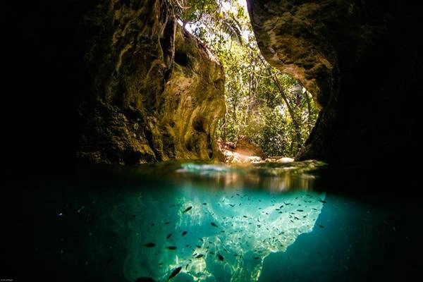Hệ thống hang ở bán đảo Yucatan. Hệ thống hang ở bán đảo Yucatan.