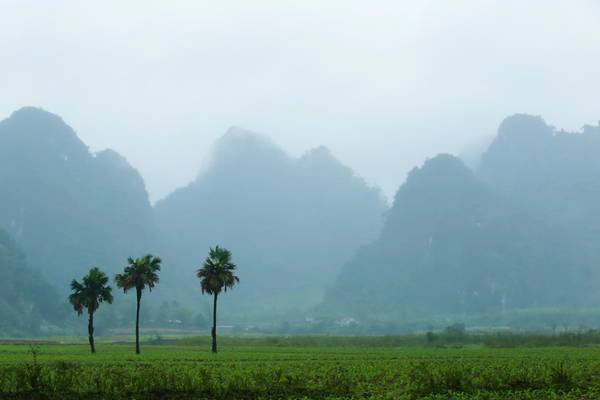 Những cảnh quay cuối cùng của "Kong: Skull Island" tại Quảng Bình hoàn thành vào chiều 25/2 trước khi đoàn di chuyển ra Ninh Bình.