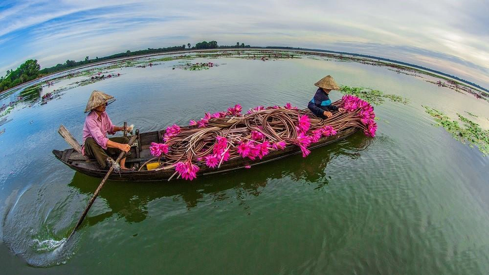 Cách thành phố Tây Ninh hơn 30 km, thuộc địa phận huyện Dương Minh Châu (Tây Ninh) và giáp danh huyện Dầu Tiếng (Bình Dương), hồ Dầu Tiếng là hồ nhân tạo lớn nhất Việt Nam, diện tích lên đến 270 km2. Lòng hồ có các ốc đảo tự nhiên được người dân địa phương đặt cho những cái tên dân dã, như đảo Xỉn, đảo Trảng, đảo Đồng Bò… Sở hữu không khí trong lành, thoáng mát, mặt hồ nước trong xanh, khung cảnh thơ mộng, hồ Dầu Tiếng rất thích hợp để trải nghiệm chèo thuyền, cắm trại và câu cá. 