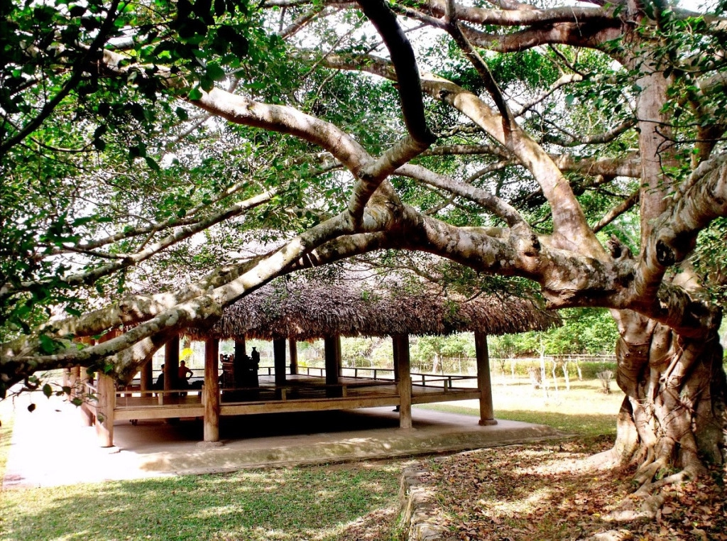 Khu di tích xã Tân Trào (huyện Sơn Dương): Không chỉ chiêm ngưỡng thiên nhiên tươi đẹp, đến Tuyên Quang du khách còn hiểu thêm những giá trị văn hóa, truyền thống của vùng quê cách mạng. Xã Tân Trào là một điểm du lịch ấn tượng ở phía đông bắc huyện Sơn Dương. Tân Trào chính là Thủ đô Khu giải phóng, căn cứ địa cách mạng xưa, nơi đã diễn ra những sự kiện lịch sử có ý nghĩa quyết định thắng lợi của Cách mạng tháng Tám năm 1945. Ảnh: Dongbac.info, Youvivu.