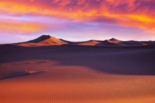 Sahara_Desert