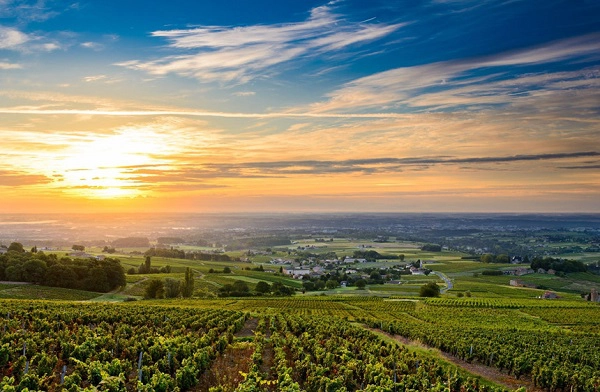 Beaujolais, Burgundy, Pháp: Beaujolais nằm ở phía Bắc Lyon và phía Tây của Rhône, nổi tiếng với những ly rượu vang hấp dẫn, mang hương vị đặc trưng. Bên cạnh đó, nơi đây là một vùng đất hùng vĩ, có những ngọn đồi, các vườn nho trên sườn dốc cùng những ngôi làng nhỏ. Ảnh: Cruise-adviser.