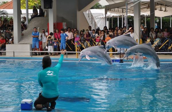 Ảnh: tripwow.tripadvisor.com Ảnh: tripwow.tripadvisor.com