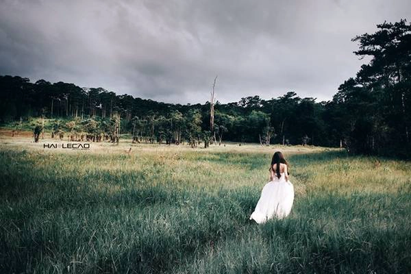 Ngoài ra Đà Lạt còn rất nhiều nơi chụp ảnh cưới lãng mạn như: đồi vọng cảnh, trường Cao Đẳng sư phạm Đà Lạt, nhà thờ Chánh tòa Đà Lạt… Hãy đến Đà Lạt để ghi lại dấu ấn về tình yêu lãng mạn, ngọt ngào cùng nửa kia của mình bằng một bộ ảnh cưới đáng nhớ. Ngoài ra Đà Lạt còn rất nhiều nơi chụp ảnh cưới lãng mạn như: đồi vọng cảnh, trường Cao Đẳng sư phạm Đà Lạt, nhà thờ Chánh tòa Đà Lạt… Hãy đến Đà Lạt để ghi lại dấu ấn về tình yêu lãng mạn, ngọt ngào cùng nửa kia của mình bằng một bộ ảnh cưới đáng nhớ.