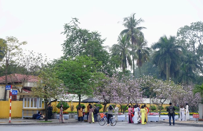 Cô Tô có cảnh đẹp tự nhiên với hàng trăm điểm chụp đẹp. Những nét đẹp vừa mộc mạc, vừa ấm áp của không gian thiên nhiên nơi đây là nơi lý tưởng để các cặp đôi ghi lại khoảnh khắc đáng nhớ của đời mình. Cô Tô có cảnh đẹp tự nhiên với hàng trăm điểm chụp đẹp. Những nét đẹp vừa mộc mạc, vừa ấm áp của không gian thiên nhiên nơi đây là nơi lý tưởng để các cặp đôi ghi lại khoảnh khắc đáng nhớ của đời mình.
