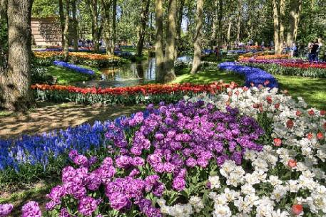 khu vườn Keukenhof