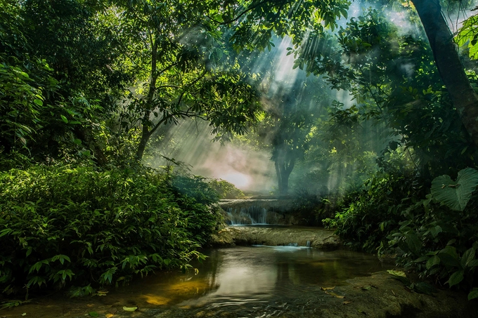 Quang cảnh buổi sớm trong khu rừng thuộc huyện Võ Nhai, Thái Nguyên. Anh Trần Đoàn Huy, tác giả bộ ảnh chia sẻ: “Du khách nên thức dậy đón những tia nắng đầu tiên của ngày mới, lội qua dòng suối mát lạnh giữa núi rừng hoang sơ. Tiếng suối chảy, chim hót và những cơn gió dịu mát khiến hành trình khám phá Võ Nhai cuốn hút đến kỳ lạ”.