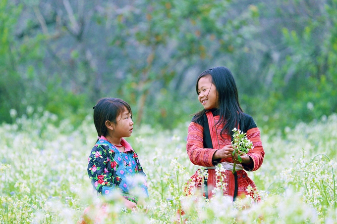 Mộc Châu  Không thua kém gì Hà Giang, nơi địa đầu Tổ quốc, Mộc Châu thuộc tỉnh Sơn La cũng là điểm dừng chân hút khách. Nhiều phượt thủ nô nức lên đường đến đây để tìm loài hoa dã quỳ hay hoa cải, tam giác mạch. Cũng có người tìm đến đây để hít thở bầu không khí trong lành giữa những ngày đông lạnh. Ảnh: Nguyễn Đức Giang.
