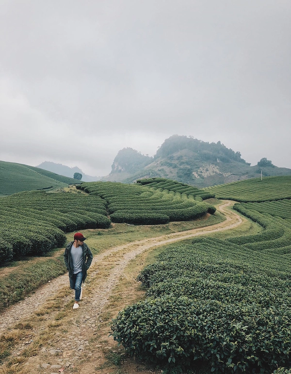 Vượt đèo Hoà Bình vào đất Sơn La, những con đường hiện ra thơ mộng, đôi khi che phủ bởi màn sương mờ ảo. Du khách lái xe máy cần cẩn thận khi đi qua những con đường này. Một trong những điểm dừng chân phải kể đến đó là đồi chè nằm trên những sườn đồi. Du khách không thể bỏ qua đồi chè trái tim Mộc Sương, nơi được nhắc đến là một trong số những đồi chè đẹp nhất ở Việt Nam. Rừng thông hay hồ Bản Áng cũng là những địa danh bạn có thể cho vào lịch trình. Ảnh: Hoàng Tuấn Anh.