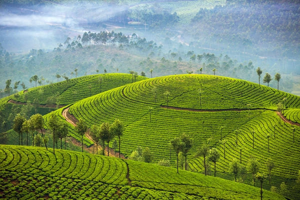 Venkatanarasimharajuvaripeta (28 chữ cái) là tên một ga tàu ở Andhra Pradesh (Ấn Độ), nơi nổi tiếng với những đồi chè đẹp như tranh vẽ. Ảnh: The Culture Trip. Venkatanarasimharajuvaripeta (28 chữ cái) là tên một ga tàu ở Andhra Pradesh (Ấn Độ), nơi nổi tiếng với những đồi chè đẹp như tranh vẽ. Ảnh: The Culture Trip.