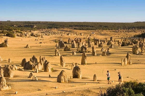 Sa mạc Pinnacles - Ảnh: mapcarta