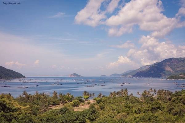 Phú Yên: Vùng đất tuyệt đẹp trong "Tôi thấy hoa vàng trên cỏ xanh" tháng 9 đón du khách với những bãi biển tuyệt đẹp, ghềnh Đá Đĩa kỳ vĩ, vịnh Xuân Hòa thơ mộng cùng các món ngon như bún chả cá, bún sứa, sò huyết Ô Loan... Ảnh: Tăng Văn Ngọc. Phú Yên: Vùng đất tuyệt đẹp trong "Tôi thấy hoa vàng trên cỏ xanh" tháng 9 đón du khách với những bãi biển tuyệt đẹp, ghềnh Đá Đĩa kỳ vĩ, vịnh Xuân Hòa thơ mộng cùng các món ngon như bún chả cá, bún sứa, sò huyết Ô Loan... Ảnh: Tăng Văn Ngọc.