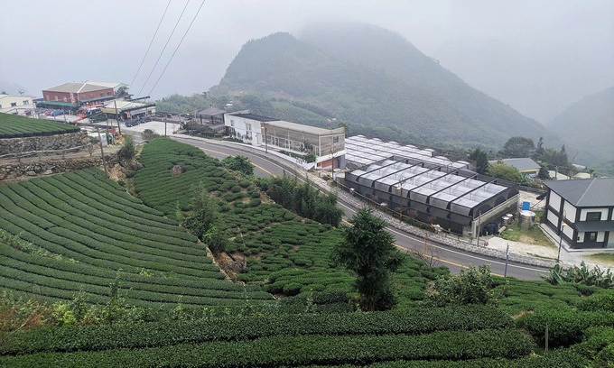 Nông trại chè  Nếu thăm vườn quốc gia A Lý Sơn ở Gia Nghĩa, bạn có thể ghé vào các nông trại chè, nằm ở độ cao hơn 1.000 m trên mực nước biển. Các vườn chè nằm trải dài trên các ngọn đồi, hai bên đường đi, tuy không quá rộng lớn nhưng mang đến không gian trong lành, xanh mượt.