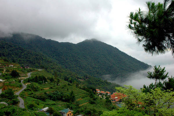 Du lịch Hà Nội - Tam Đảo