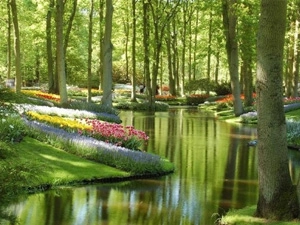 Lâu đài Keukenhof, Hà Lan - iVIVU.com