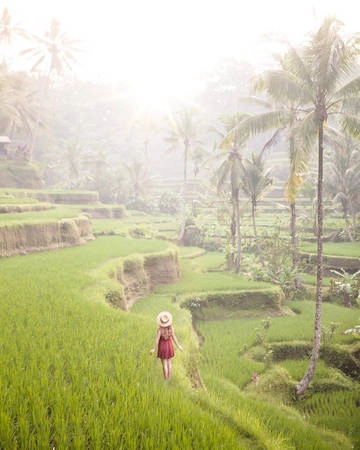 Điều này vốn dĩ không xấu, nhưng hệ quả của sự nổi tiếng trên Instagram có thể dẫn tới những vấn đề khác. Chẳng hạn, các tài khoản lớn hơn lợi dụng những blogger mới nổi đầy triển vọng, trả tiền để chia sẻ nội dung từ những người này. Ảnh: Instagram/saramelotti_.