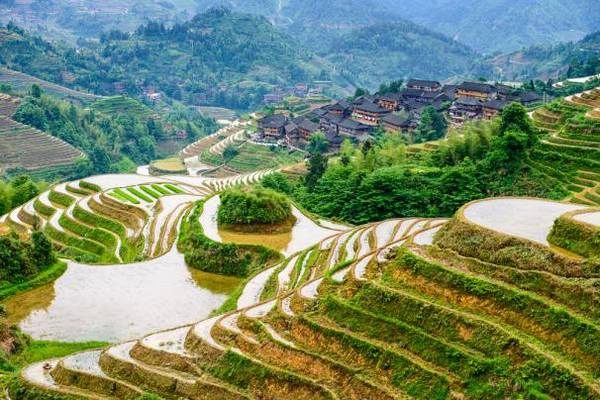 Những khu ruộng bậc thang trập trùng cũng là một điểm nhấn ấn tượng ở đây. Ảnh: Asiaone Những khu ruộng bậc thang trập trùng cũng là một điểm nhấn ấn tượng ở đây. Ảnh: Asiaone