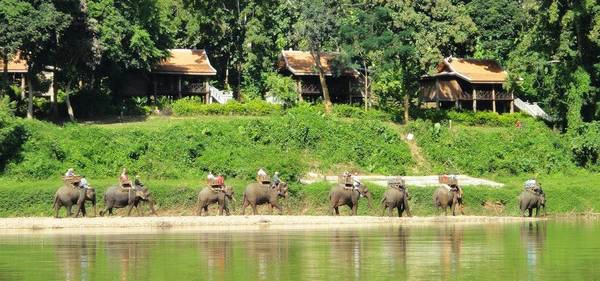 Công viên voi Luang Prabang nằm gần sông Nậm Khan. Ảnh: exotravel.com diem-dung-chan-luang-prabang-ivivu-8