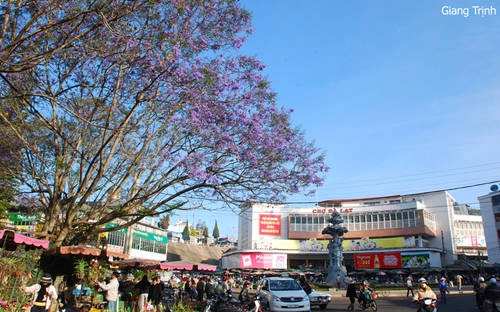  Buổi sáng đầu tiên, bạn nên ăn thử bún Thiên Trang, phở Hoàng Văn Thụ để cảm nhận thói quen của người Đà Lạt. Giá một bát chỉ khoảng 18.000 - 25.000 đồng một bát. Ảnh: Giang Trịnh.