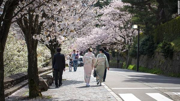 Thành phố Kanazawa, tỉnh Ishikawa: Kanazawa là thành phố lịch sử xinh đẹp bên bờ biển, giáp với dãy núi Alps Nhật Bản. Địa danh nổi tiếng nhất tại đây là khu vườn Kenrokuen, được xem là một trong ba khu vườn nổi tiếng nhất cả nước. Do ít khách du lịch biết đến, Kanazawa là nơi thích hợp để trải nghiệm mùa hoa anh đào.