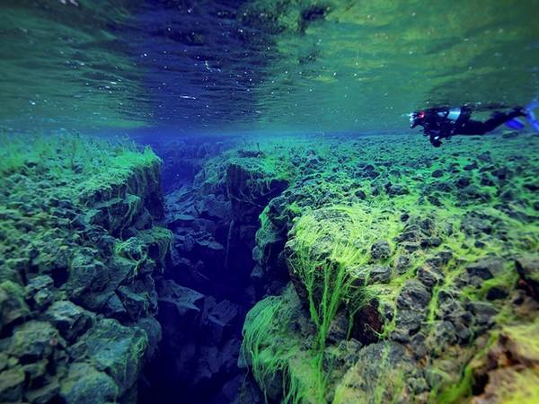 Khe nứt Silfra, công viên quốc gia Thingvellir, Iceland: Khe nứt Silfra đem lại cho những người mê mạo hiểm cơ hội có được trải nghiệm độc đáo: lặn giữa hai mảng kiến tạo lục địa. Khe nứt giữa mảng Á - Âu và mảng Bắc Mỹ này mở rộng thêm 2 cm mỗi năm, có nước trong vắt và địa chất ấn tượng. 