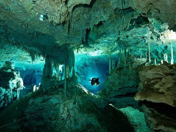 Dos Ojos, Tulum, Mexico: Hố sụt này có hai lối vào và đã xuất hiện trên nhiều bộ phim thám hiểm cũng như khoa học khám phá. Đây là điểm đến lý tưởng cho những người mê lặn hay đủ can đảm khám phá hang dơi. 