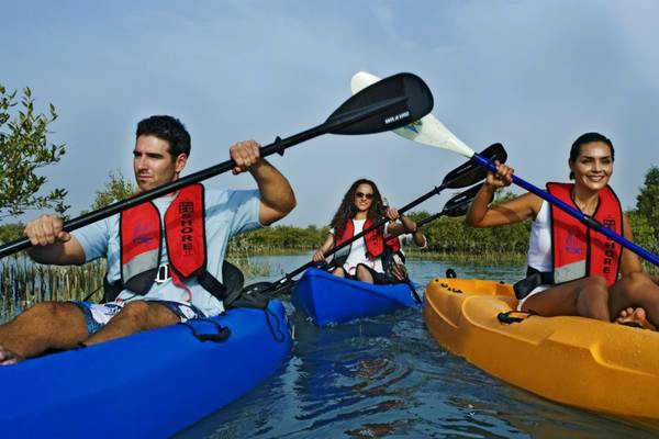 Chèo thuyền kayak giữa rừng đước: Bờ biển của Abu Dhabi có các rừng đước và nhiều loài chim thú vị, rất hợp để du khách khám phá bằng thuyền kayak. Chèo thuyền kayak giữa rừng đước: Bờ biển của Abu Dhabi có các rừng đước và nhiều loài chim thú vị, rất hợp để du khách khám phá bằng thuyền kayak.