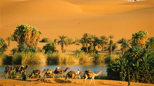 Ngày nay, giữa sa mạc Sahara vẫn còn các ốc đảo nhỏ. Ảnh: Spiegel.de. Ngày nay, giữa sa mạc Sahara vẫn còn các ốc đảo nhỏ. Ảnh: Spiegel.de.