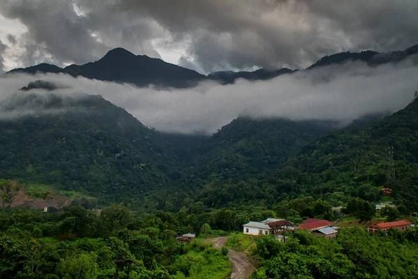 Chim tự sát tập thể, Jatinga, Assam Chim tự sát tập thể, Jatinga, Assam