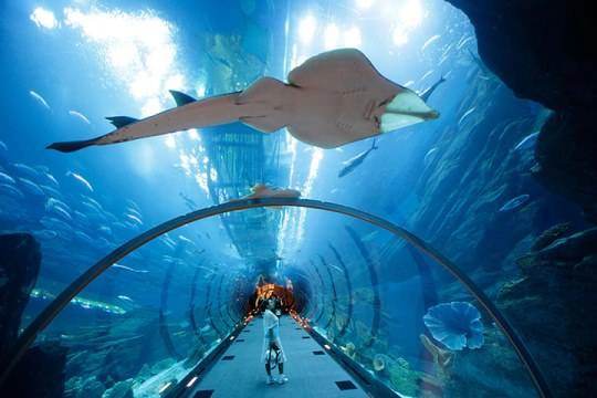 Dubai mall 2