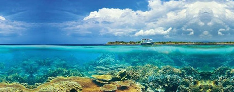 Dù Indonesia có nhiều đảo như vậy nhưng du khách chủ yếu đổ dồn tới Bali. Ảnh: TopDesk Travel. Dù Indonesia có nhiều đảo như vậy nhưng du khách chủ yếu đổ dồn tới Bali. Ảnh: TopDesk Travel.