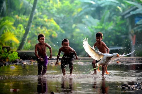 Tiếng Bahasa Indonesia là ngôn ngữ chính thức ở đất nước 260 triệu dân. Tiếng Java cũng phổ biến với 84 triệu người sử dụng. Ngoài ra, quốc gia này còn có hơn 700 ngôn ngữ khác. Riêng ở tỉnh Papua, người dân dùng 270 ngôn ngữ. Tiếng Bahasa Indonesia là ngôn ngữ chính thức ở đất nước 260 triệu dân. Tiếng Java cũng phổ biến với 84 triệu người sử dụng. Ngoài ra, quốc gia này còn có hơn 700 ngôn ngữ khác. Riêng ở tỉnh Papua, người dân dùng 270 ngôn ngữ.