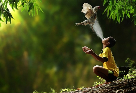 Theo Tổ chức Bảo tồn Quốc tế, Indonesia nằm trong danh sách 17 nước được coi là "megadiverse" (quốc gia siêu đa dạng). Phần lớn các loài vật trên thế giới đều sống ở đây. Thậm chí, người ta còn tìm thấy những loài không tồn tại ở đâu khác. Ảnh: Drama Fever. Theo Tổ chức Bảo tồn Quốc tế, Indonesia nằm trong danh sách 17 nước được coi là "megadiverse" (quốc gia siêu đa dạng). Phần lớn các loài vật trên thế giới đều sống ở đây. Thậm chí, người ta còn tìm thấy những loài không tồn tại ở đâu khác. Ảnh: Drama Fever.