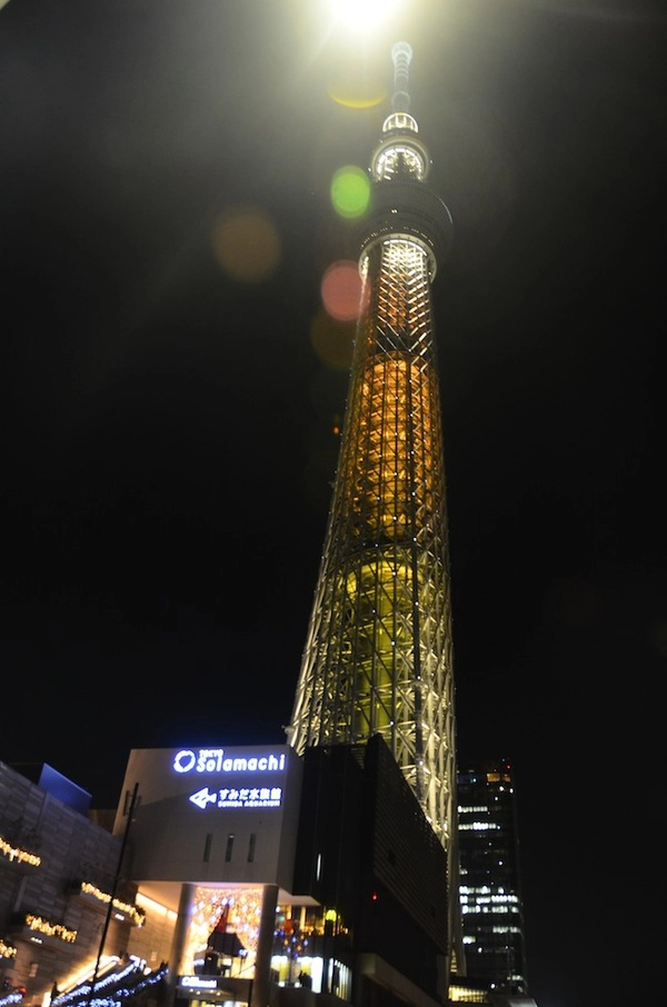 Tokyo Skytree mở cửa từ 8 tới 22h, thời gian đông khách nhất thường vào buổi sáng hoặc đầu giờ chiều. Giá vé lên tầng 350 là 2.060 yen (438.000 đồng), muốn lên tầng 450, bạn bỏ thêm 1.030 yen (220.000 đồng). Giá đồ uống từ 450 yen (khoảng 90.000 đồng). Nếu thời tiết đẹp, bạn có thể nhìn thấy đỉnh núi Phú Sĩ phía đường chân trời. Các màn hình dài hơn 5 m chụp cận cảnh các tòa nhà và địa điểm bên dưới cho phép du khách tương tác (phóng to, thu nhỏ, chọn mở thông tin chi tiết về lịch sử…).