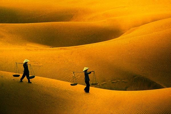 Ở mỗi mùa trong năm, đồi cát lại khoác lên những chiếc áo khác nhau. Thời gian thích hợp nhất để tham quan đồi cát từ 5-9h và sau 16h. Ảnh: Huuthanh nguyen. Ở mỗi mùa trong năm, đồi cát lại khoác lên những chiếc áo khác nhau. Thời gian thích hợp nhất để tham quan đồi cát từ 5-9h và sau 16h. Ảnh: Huuthanh nguyen.