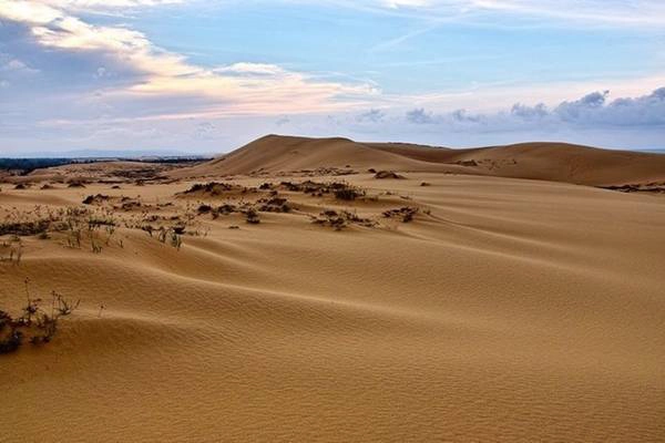 Đồi cát Quang Phú (Quảng Bình) nằm giữa hai huyện Quảng Ninh và Lệ Thủy, tỉnh Quảng Bình, cách sân bay Đồng Hới vài trăm mét. Ảnh: Lequang304. Đồi cát Quang Phú (Quảng Bình) nằm giữa hai huyện Quảng Ninh và Lệ Thủy, tỉnh Quảng Bình, cách sân bay Đồng Hới vài trăm mét. Ảnh: Lequang304.