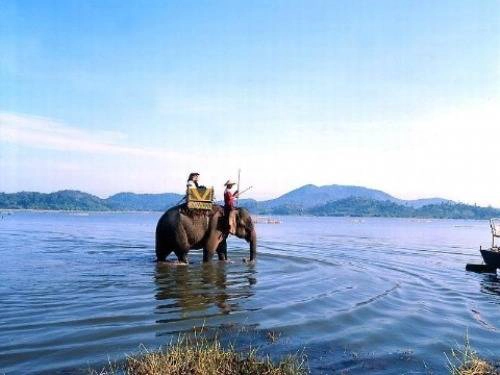 Hồ Lắk, Đắk Lắk: Hồ Lắk nằm bên thị trấn Liên Sơn, huyện Lắk, cạnh tuyến đường giao thông giữa Buôn Ma Thuột và Đà Lạt, cách TP Buôn Ma Thuột khoảng 56 km về phía Nam theo quốc lộ 27. Để khám phá vẻ đẹp tự nhiên của hồ Lắk, có hai lựa chọn: đi thuyền độc mộc hoặc cưỡi voi. Hành trình dạo chơi hồ Lắk trên lưng voi thường kéo dài 30 phút, khách cũng có thể thỏa thuận trước nếu muốn có thêm thời gian khám phá vẻ đẹp huyền bí của hồ. Ảnh: Phương Thảo. Hồ Lắk, Đắk Lắk: Hồ Lắk nằm bên thị trấn Liên Sơn, huyện Lắk, cạnh tuyến đường giao thông giữa Buôn Ma Thuột và Đà Lạt, cách TP Buôn Ma Thuột khoảng 56 km về phía Nam theo quốc lộ 27. Để khám phá vẻ đẹp tự nhiên của hồ Lắk, có hai lựa chọn: đi thuyền độc mộc hoặc cưỡi voi. Hành trình dạo chơi hồ Lắk trên lưng voi thường kéo dài 30 phút, khách cũng có thể thỏa thuận trước nếu muốn có thêm thời gian khám phá vẻ đẹp huyền bí của hồ. Ảnh: Phương Thảo.