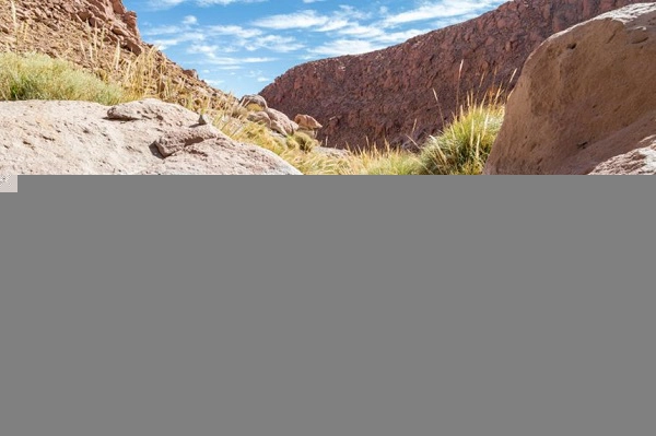 Puritama, Chile: Tại Puritama, giữa khu vực địa nhiệt tại sa mạc Atacama, du khách sẽ tìm thấy 8 hồ bơi nước nóng, nằm trên một ốc đảo, được kết nối với nhau bằng một loạt các lối đi bằng gỗ. Những bể bơi nước nóng ở đây được người Inca tin rằng có khả năng chữa các bệnh về khớp. Ảnh: GonzaloSanchez/Shutterstock. Puritama, Chile: Tại Puritama, giữa khu vực địa nhiệt tại sa mạc Atacama, du khách sẽ tìm thấy 8 hồ bơi nước nóng, nằm trên một ốc đảo, được kết nối với nhau bằng một loạt các lối đi bằng gỗ. Những bể bơi nước nóng ở đây được người Inca tin rằng có khả năng chữa các bệnh về khớp. Ảnh: GonzaloSanchez/Shutterstock.