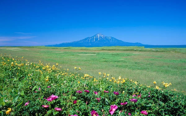 Ảnh: AP / Fotolia Ảnh: AP / Fotolia