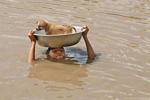 "Vượt lũ" - tác giả Nguyễn Thành Luy.