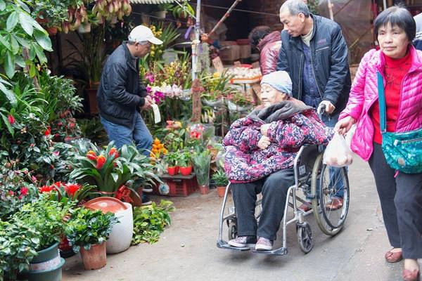 Hai ông bà đi mua sắm chuẩn bị đón Tết.