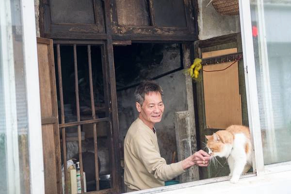 Người đàn ông chơi đùa với chú mèo bên khung cửa.