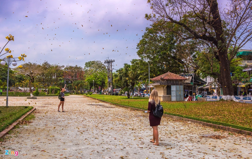 Những cơn gió thổi mạnh làm cho nhiều nơi ở thành phố Huế lá rụng rào rào như mưa.