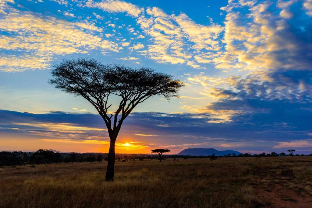 Khu bảo tồn động vật hoang dã Serengeti (Tanzania) mang đến cảnh tượng thiên nhiên ngoạn mục. Những con sư tử bản địa, báo, voi, tê giác và trâu "chơi đùa" trên vùng đất hoang vu rộng lớn, dưới ánh hoàng hôn, gợi nhớ đến bộ phim huyền thoại "Vua sư tử".